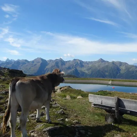 Haus Hackl Daire Jerzens