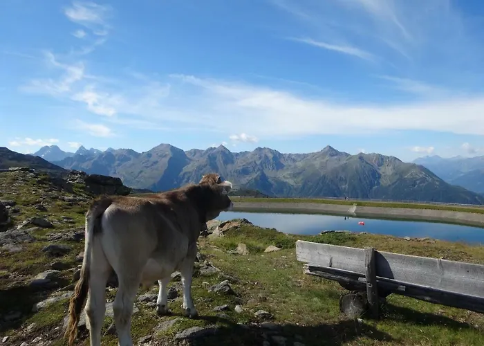 Haus Hackl Lejlighed Jerzens